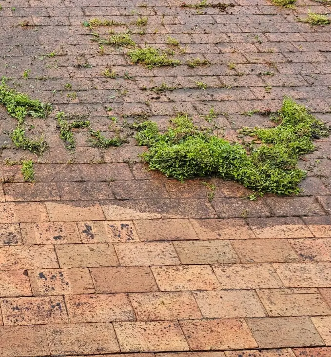 A clean commercial building entrance after pressure washing