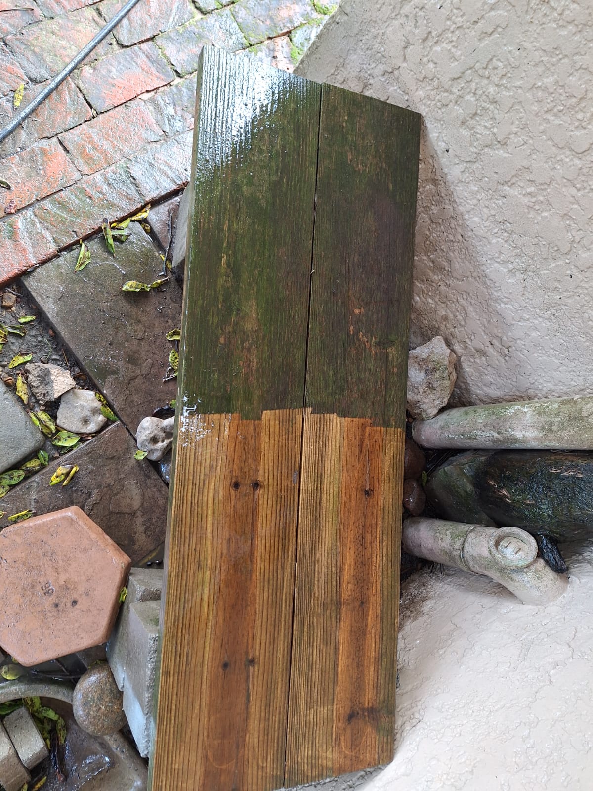 Clean Plastered Wall