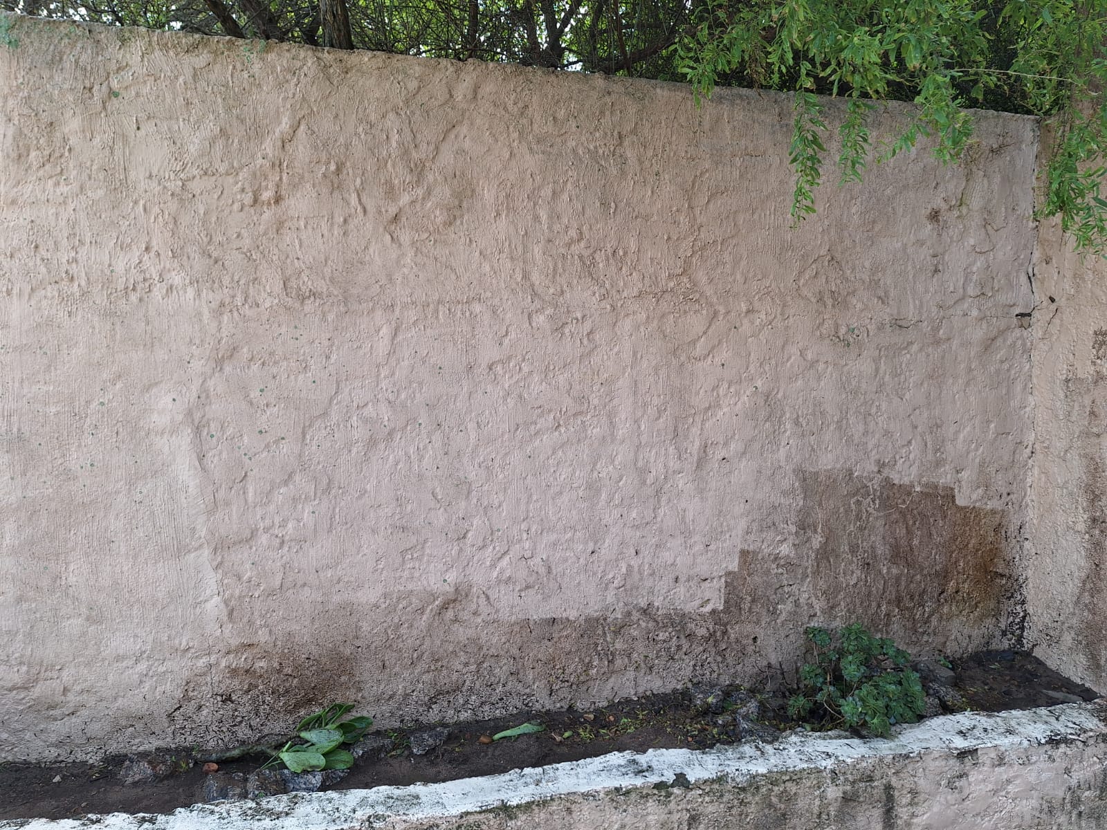 A clean, freshly washed boundary wall