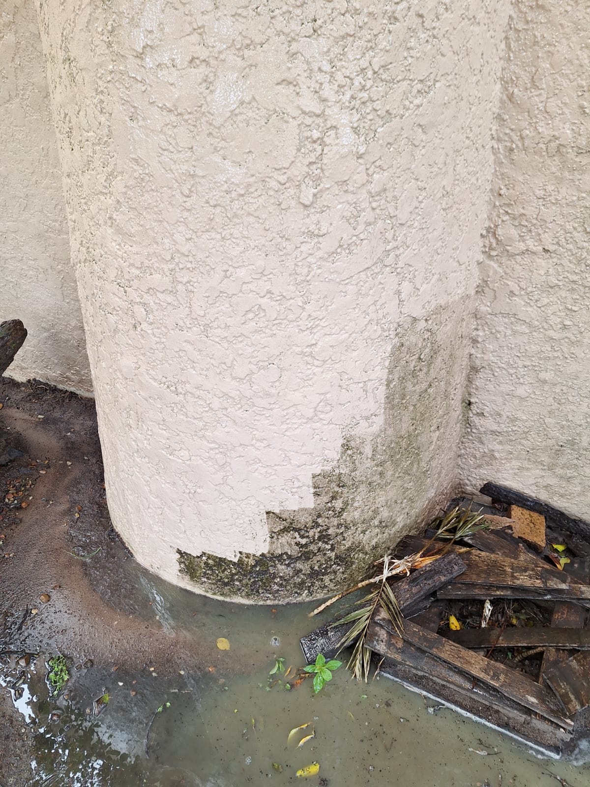 A clean and restored wooden fence