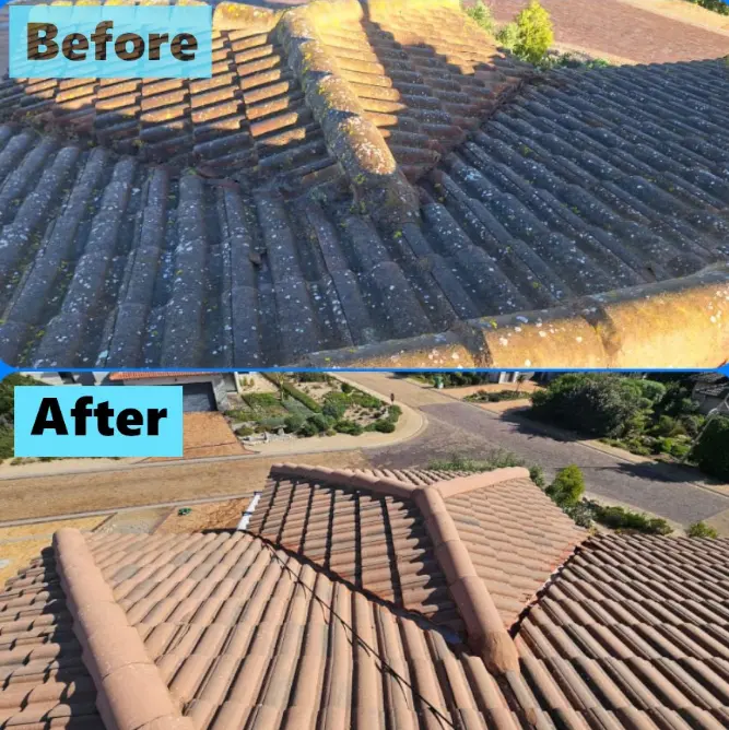 A clean roof after professional low-pressure washing